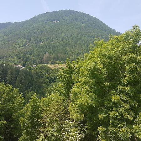 Appartamento Altipiano Pine 2 Bedollo Luaran gambar